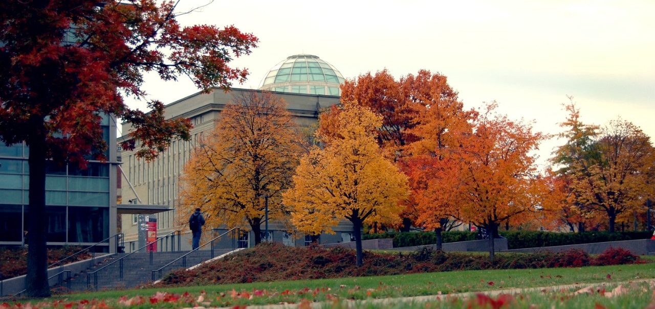 Fall Fun in Greater Cincinnati University of Cincinnati
